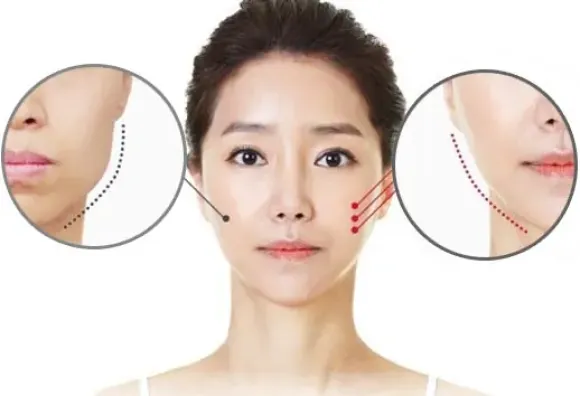 Bí Mật Về Hệ Cơ Xương Khớp: Chức Năng, Bệnh Thường Gặp & Cách Bảo Vệ