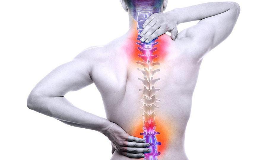 Bí Mật Về Hệ Cơ Xương Khớp: Chức Năng, Bệnh Thường Gặp & Cách Bảo Vệ